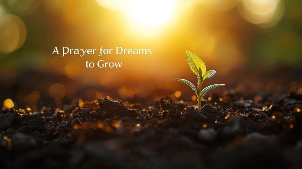 Seedling in sunrise light representing prayer for dreams to grow for my love